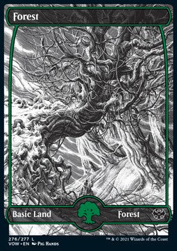 Forest (V.1)