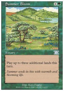 Summer Bloom