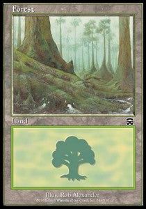 Forest (V.2)