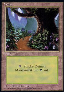 Forest (V.2)