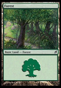 Forest (V.4)