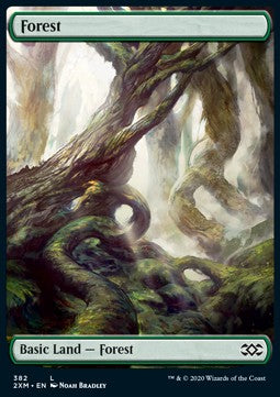 Forest (V.2)