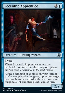 Eccentric Apprentice