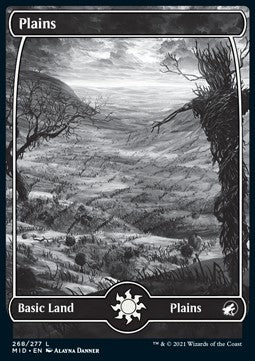 Plains (V.1)
