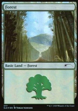 Forest (V.10)