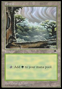 Forest (V.3)